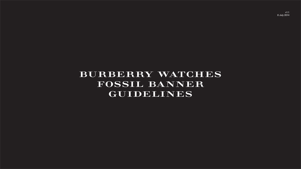 Burberry Fossil Banner Guidelines